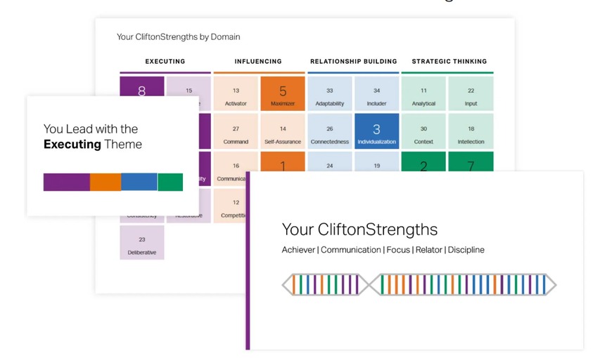 CliftonStrengths online dashboard view